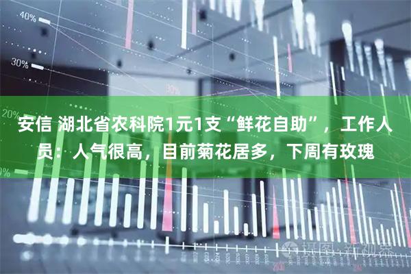 安信 湖北省农科院1元1支“鲜花自助”，工作人员：人气很高，目前菊花居多，下周有玫瑰